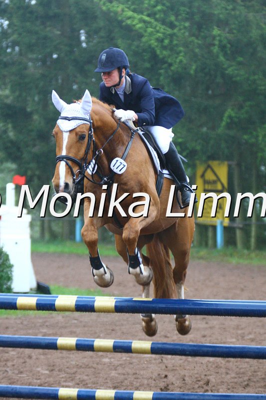 005L4572_Lucky Luke_Springpferde A xx.JPG